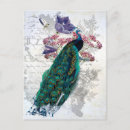Search for elegant peacock postcards Vintage