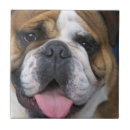 Search for belgian tiles Europe