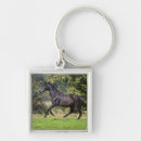 Search for horses running key rings Nature