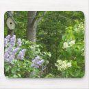 Search for shrub mousepads For her