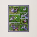 Search for virginia puzzles Blue