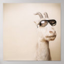 Search for migrate art Animal