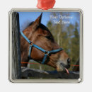 Search for horse christmas tree decorations Animals