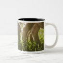 Search for two sheep mugs Animals
