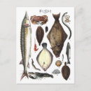 Search for vintage food postcards Fish