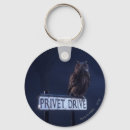 Search for jk rowling key rings Sorcerers stone