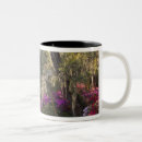 Search for charleston south carolina mugs Southern