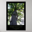 Search for imagine posters Photography