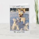 Search for funny teen birthday cards Dog