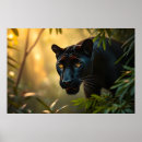Search for jaguar panther posters Jungle