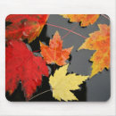 Search for maple mousepads Leaves