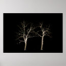 Search for spectrum photography Black