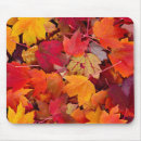 Search for magnificence mousepads Colours