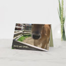 Search for funny cow birthday cards Barnyard