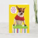 Search for funny chihuahua birthday cards Humour
