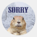 Search for sorry not sorry stickers Cute