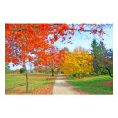 Search for path art Fall