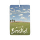Search for pasture Blue sky