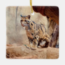 Search for exotic christmas tree decorations Jungle