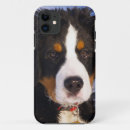 Search for bernese mountain dog iphone cases Puppy