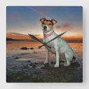 Search for jack russell clocks Pets
