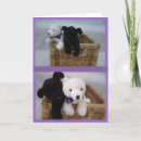 Search for black lab birthday cards Animal