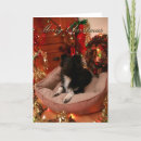 Search for sheltie christmas cards Collie
