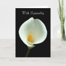 Search for white calla lily cards Black