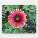Search for yellow gerbera daisy electronics Red
