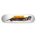 Search for dog skateboards Doxie
