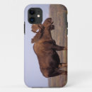 Search for ak iphone cases Denali national park