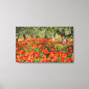 Search for olive tree canvas prints Nature