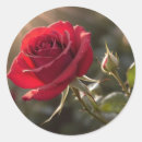 Search for red rose petals stickers For her