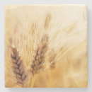Search for field coasters Autumn