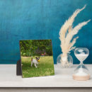 Search for terrier plaques Pet