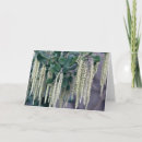 Search for multi region photography Trees