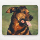 Search for working dogs mousepads Photography