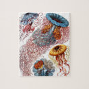 Search for ernst haeckel puzzles Jellyfish