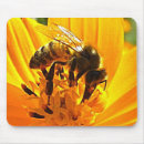 Search for macros mousepads Macro photography