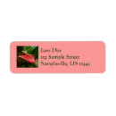 Search for calla lily return address labels Nature