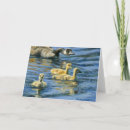 Search for waterfowl cards Goose