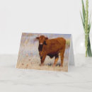 Search for funny cow jokes postcards Cows