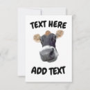 Search for dairy cow cards Milk