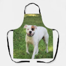Search for boxers aprons Canine