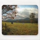 Search for cades cove electronics Autumn