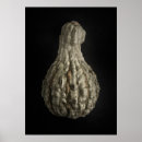Search for gourd posters Photography