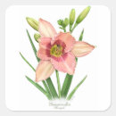 Search for perennials stickers Botanical