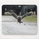 Search for walks mousepads Nature