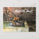 Search for bath postcards Bear