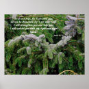 Search for fir tree posters Pacific northwest